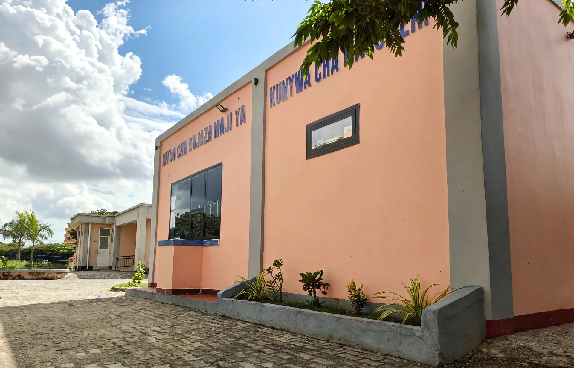 Peach Building Photoreal